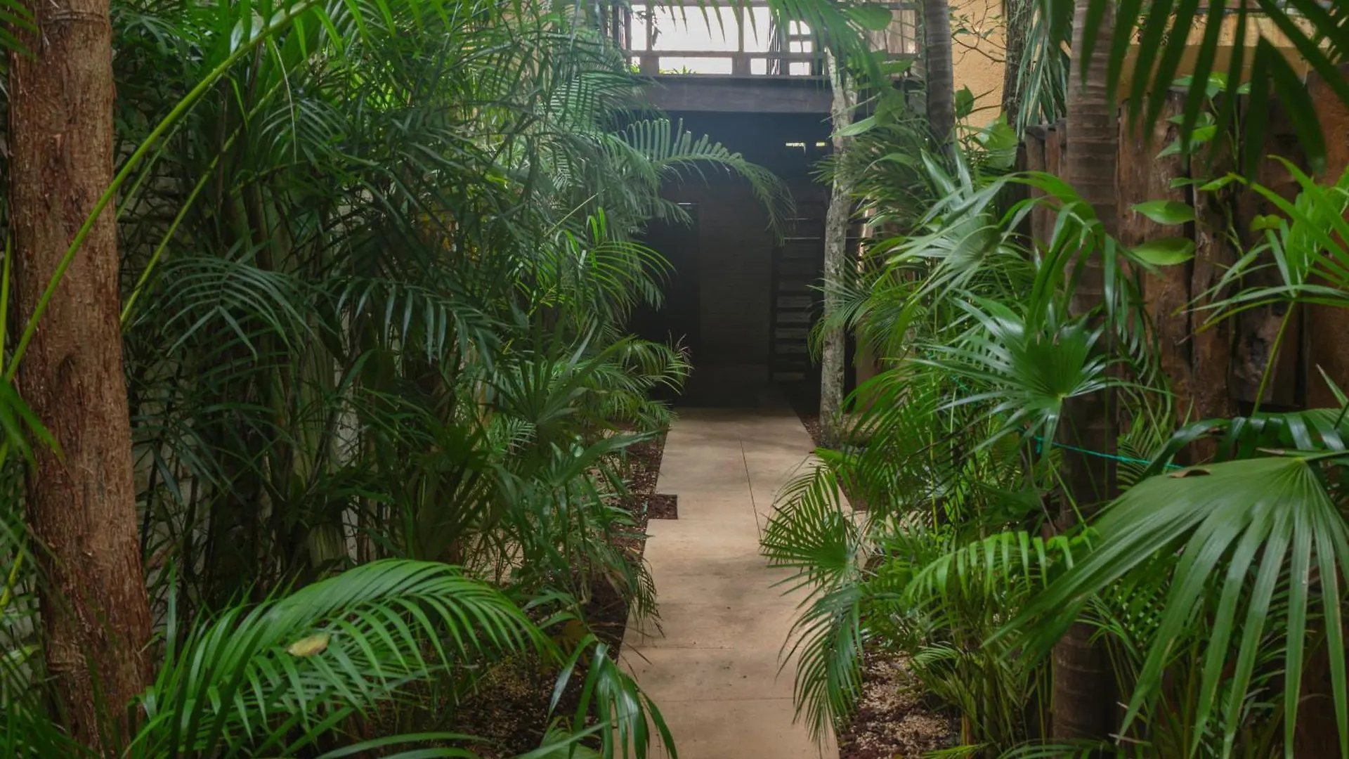Charming Tulum Getaway In Prime Location Apartment