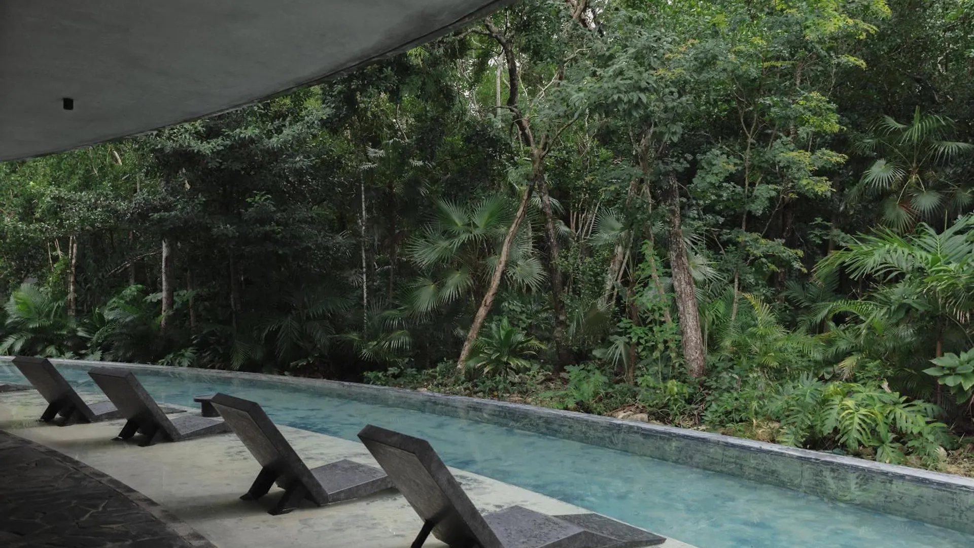 Charming Tulum Getaway In Prime Location Apartment