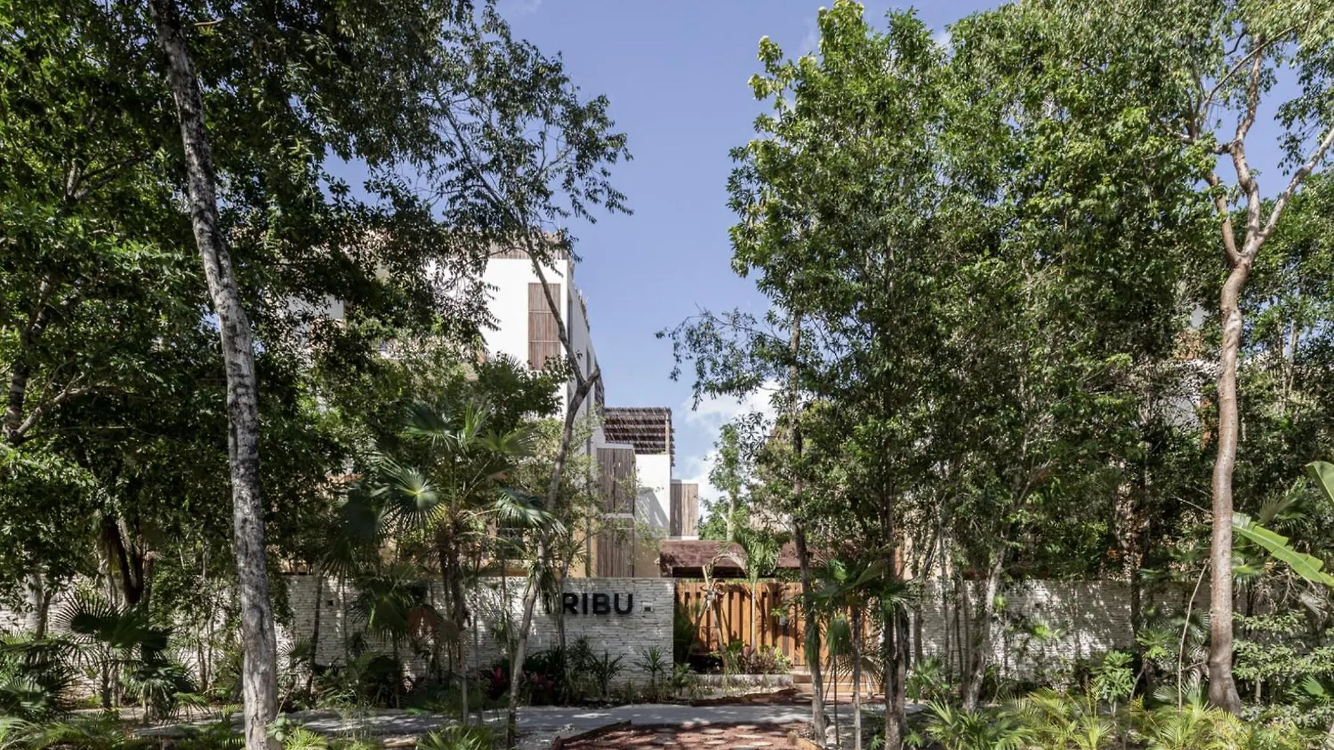 Charming Tulum Getaway In Prime Location Apartment